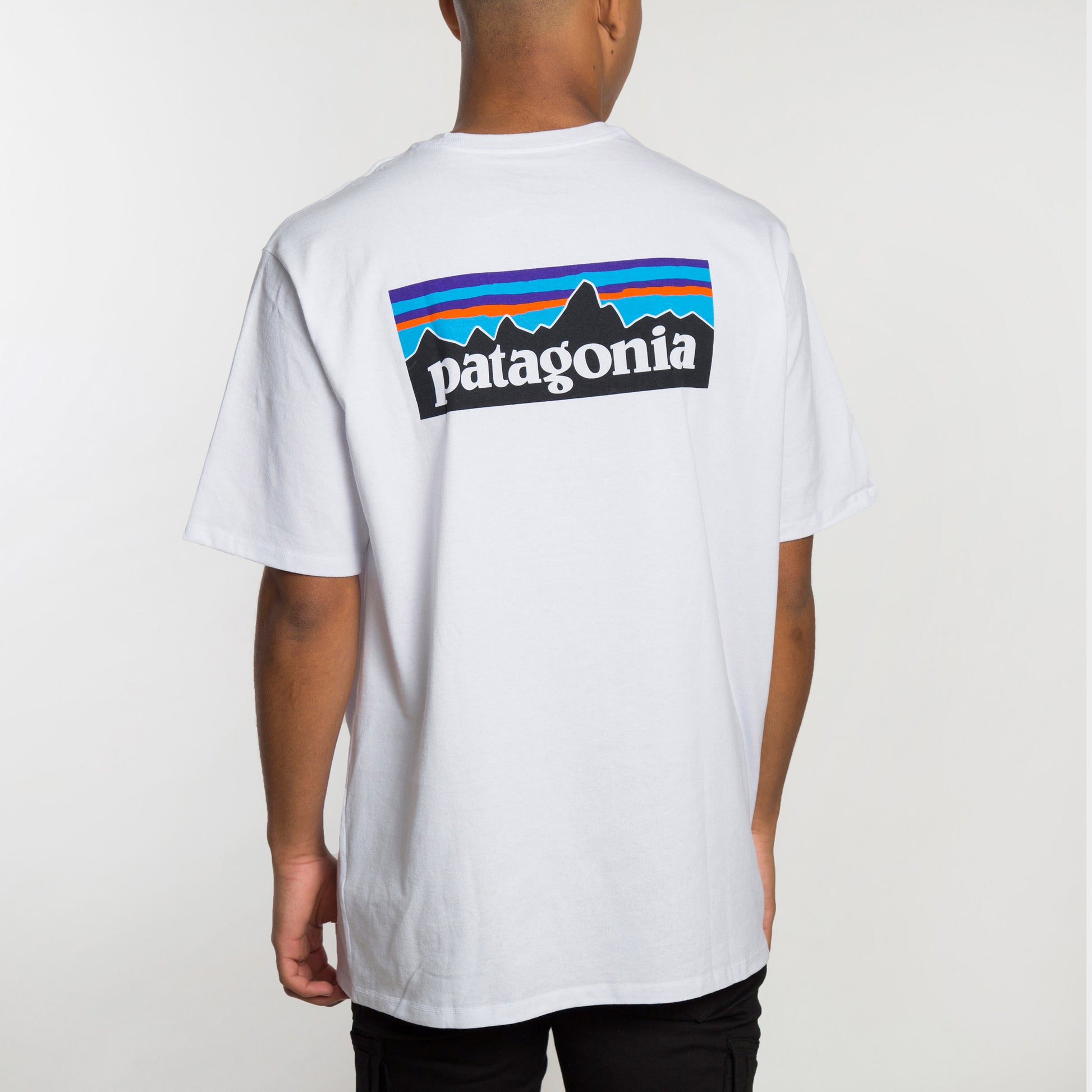 Patagonia Camiseta Line Logo Pocket Responsibili-Tee - Colección Chico