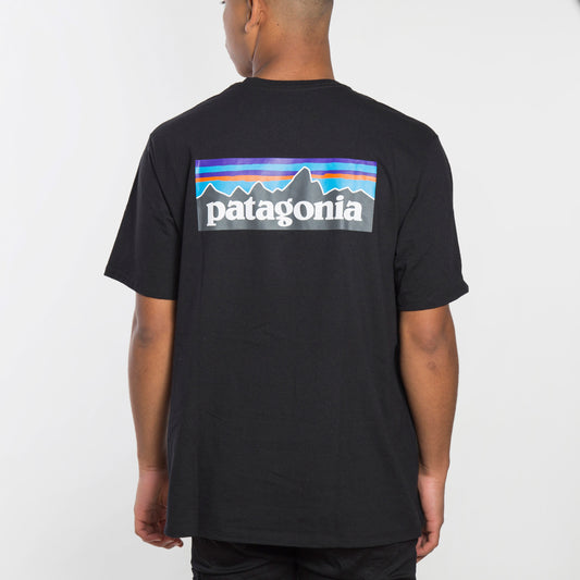 Patagonia Camiseta P-6 Logo - 38504 - Colección Chico