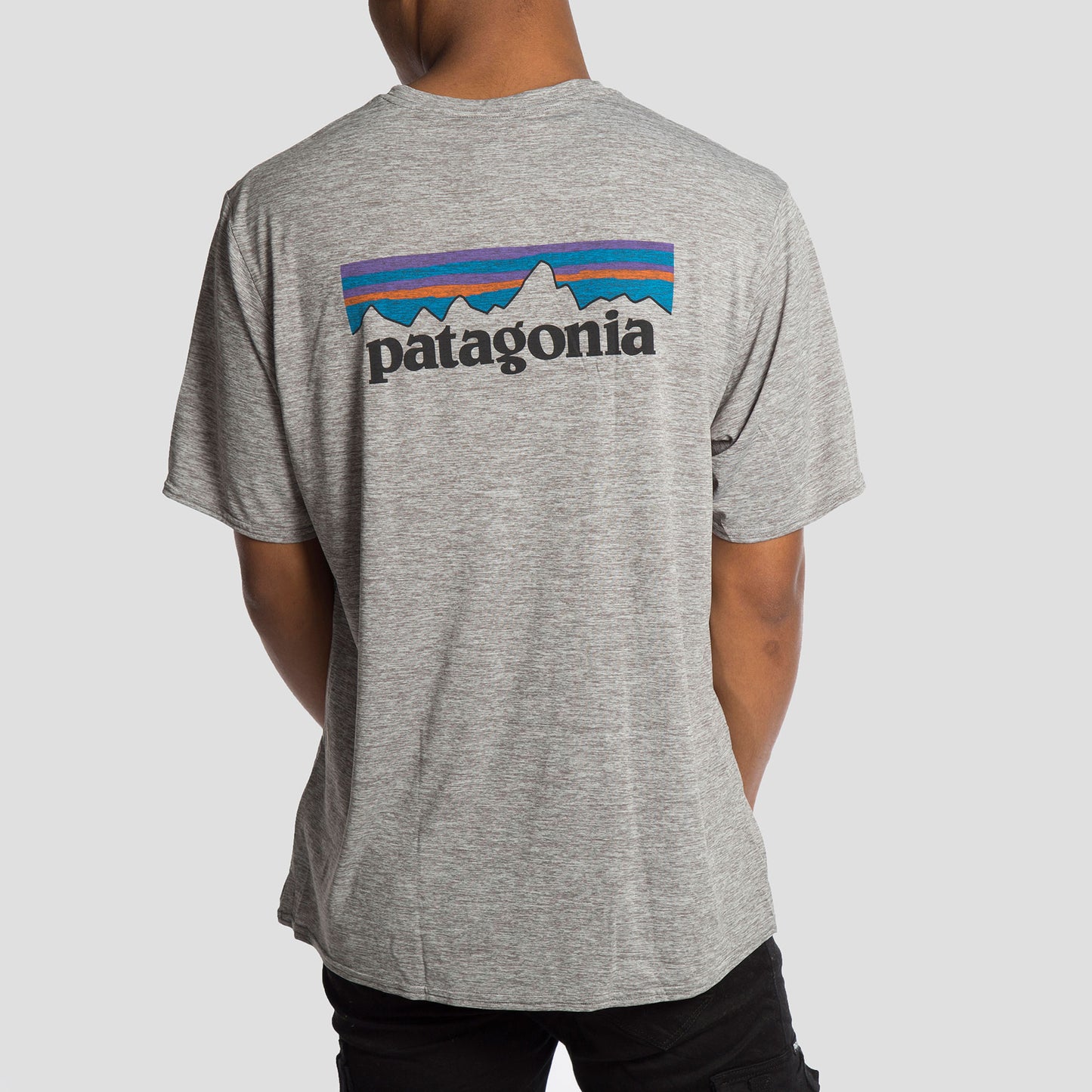 Patagonia Camiseta P-6 Logo - 45235PLFE - Colección Chico